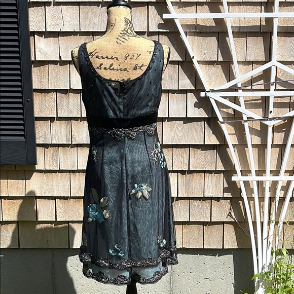 NWT Adriana Papell lace embroidered net sheer dress- gown- Size 10 - Picture 15 of 17